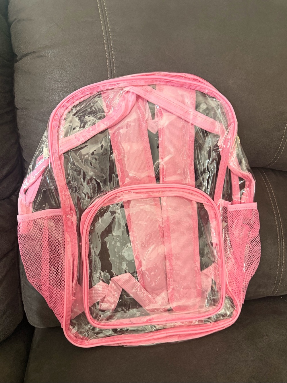 Clear Pink Backpack with Mesh Pockets